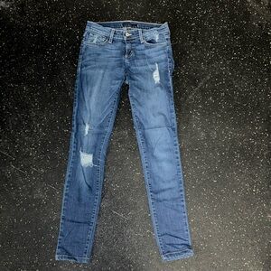 Flying Monkey Skinny Jeans